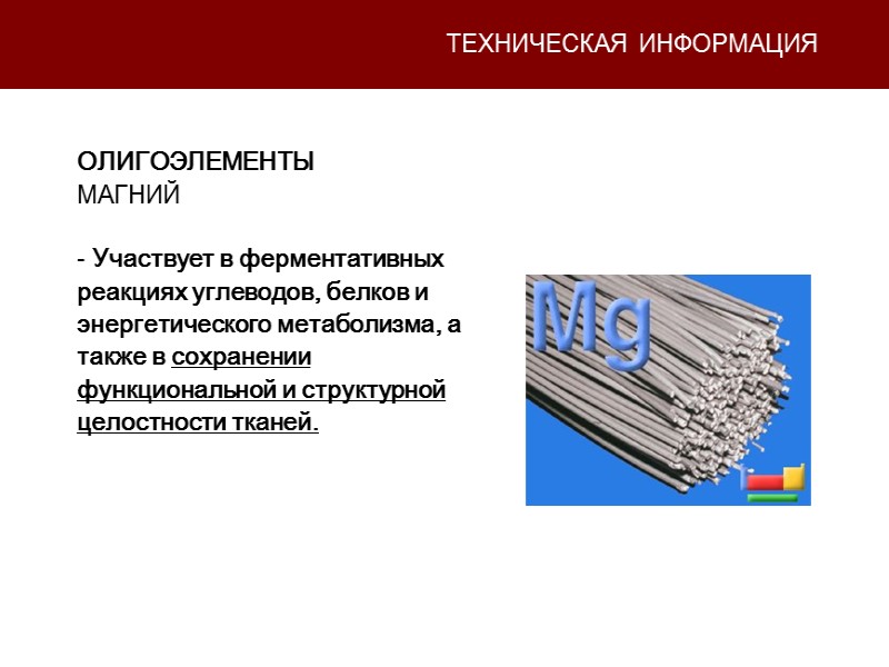ТЕХНИЧЕСКАЯ ИНФОРМАЦИЯ ОЛИГОЭЛЕМЕНТЫ МАГНИЙ   Участвует в ферментативных реакциях углеводов, белков и энергетического